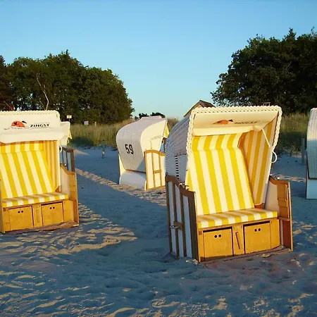 Sonniges Und Beliebtes 